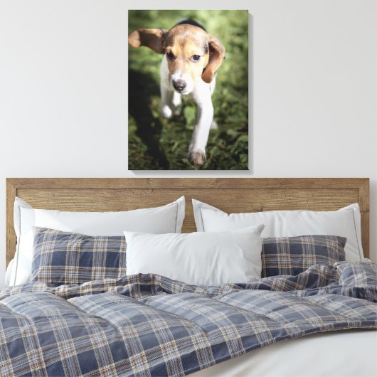 Kutest Baby Animals | Beagle Puppy Canvas Afdruk (Insitu (Slaapkamer))