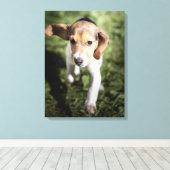 Kutest Baby Animals | Beagle Puppy Canvas Afdruk (Insitu (Houten vloer))