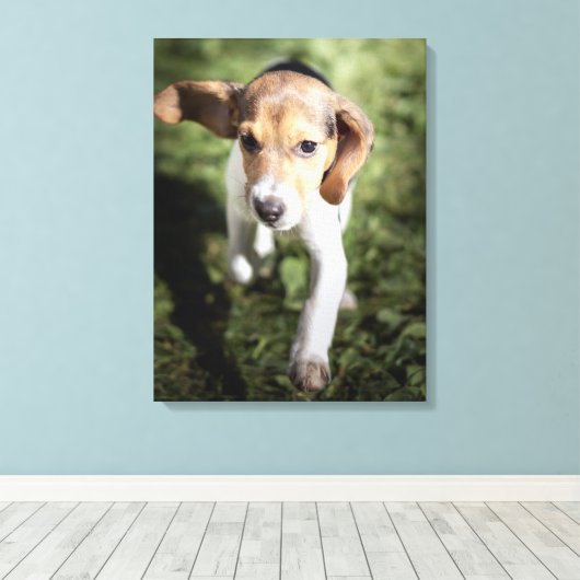 Kutest Baby Animals | Beagle Puppy Canvas Afdruk (Insitu (Houten vloer))