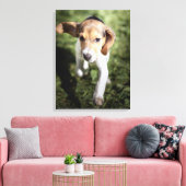 Kutest Baby Animals | Beagle Puppy Canvas Afdruk (Insitu (Woonkamer))