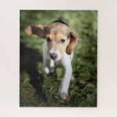 Kutest Baby Animals | Beagle Puppy Legpuzzel (Verticaal)