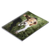 Kutest Baby Animals | Beagle Puppy Notitieboek (Linkerzijde)