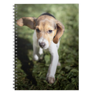 Kutest Baby Animals   Beagle Puppy Notitieboek