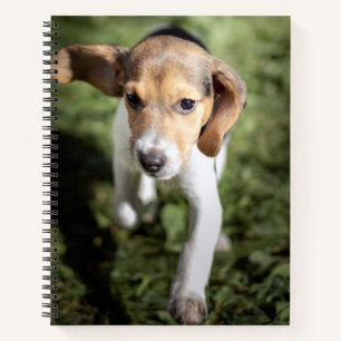 Kutest Baby Animals Beagle Puppy Notitieboek