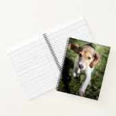 Kutest Baby Animals | Beagle Puppy Notitieboek (Binnen)
