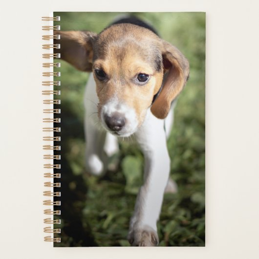 Kutest Baby Animals | Beagle Puppy Planner (Voorkant)