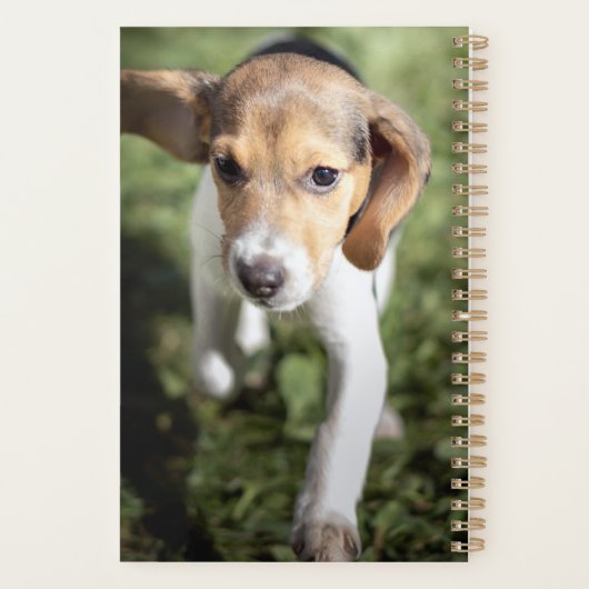 Kutest Baby Animals | Beagle Puppy Planner (Achterkant)