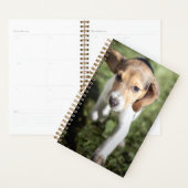 Kutest Baby Animals | Beagle Puppy Planner (Display)