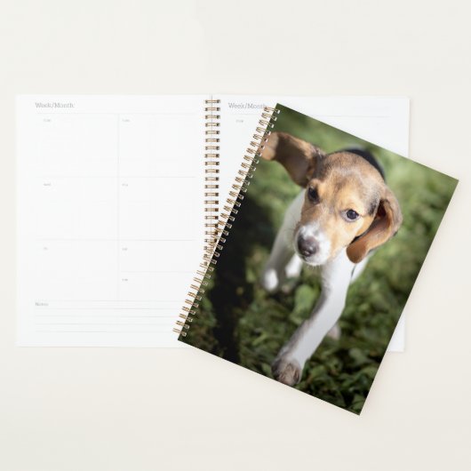 Kutest Baby Animals | Beagle Puppy Planner (Display)
