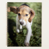 Kutest Baby Animals | Beagle Puppy Planner (Voorkant)