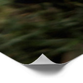 Kutest Baby Animals | Beagle Puppy Poster (Hoek)