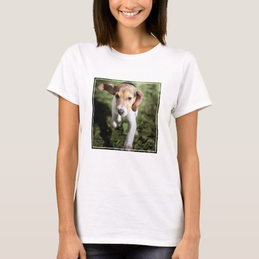 Kutest Baby Animals | Beagle Puppy T-shirt (Voorkant)