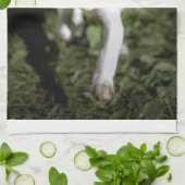 Kutest Baby Animals | Beagle Puppy Theedoek (Gevouwen)