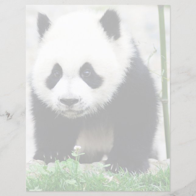 Kutest Baby Animals | Beer Baby Panda (Voorkant)