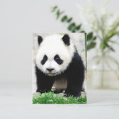 Kutest Baby Animals | Beer Baby Panda Briefkaart (Staand voorkant)