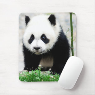 Kutest Baby Animals Beer Baby Panda Muismat