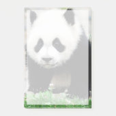 Kutest Baby Animals | Beer Baby Panda Post-it® Notes (Voorkant)