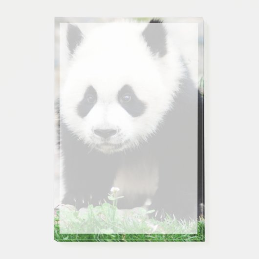 Kutest Baby Animals | Beer Baby Panda Post-it® Notes (Voorkant)