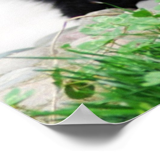 Kutest Baby Animals | Beer Baby Panda Poster (Hoek)