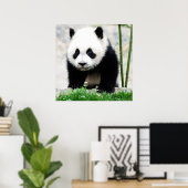 Kutest Baby Animals | Beer Baby Panda Poster (Thuiskantoor)