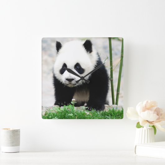 Kutest Baby Animals | Beer Baby Panda Vierkante Klok (Huis)