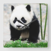 Kutest Baby Animals | Beer Baby Panda Vierkante Klok (Voorkant)