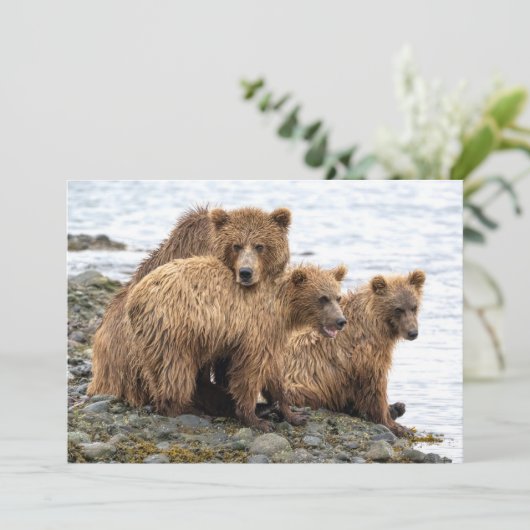 Kutest Baby Animals | Beer en kubussen Bedankkaart (Staand voorkant)