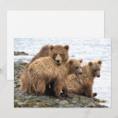 Kutest Baby Animals | Beer en kubussen Bedankkaart (Voorkant / Achterkant)