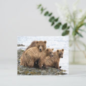 Kutest Baby Animals | Beer en kubussen Briefkaart (Staand voorkant)