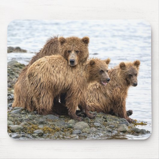 Kutest Baby Animals | Beer en kubussen Muismat (Voorkant)