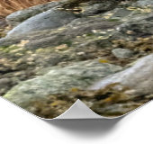 Kutest Baby Animals | Beer en kubussen Poster (Hoek)