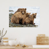 Kutest Baby Animals | Beer en kubussen Poster (Keuken)