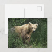 Kutest Baby Animals | Beer Mama Beer en haar kubus Briefkaart (Voorkant / Achterkant)