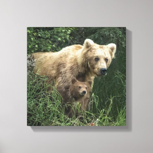 Kutest Baby Animals | Beer Mama Beer en haar kubus Canvas Afdruk (Voorkant)