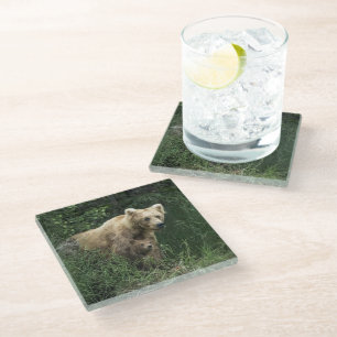 Kutest Baby Animals   Beer Mama Beer en haar kubus Glazen Onderzetter