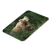 Kutest Baby Animals | Beer Mama Beer en haar kubus Magneet (Linkerzijde)