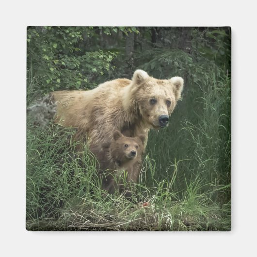 Kutest Baby Animals | Beer Mama Beer en haar kubus Magneet (Voorkant)