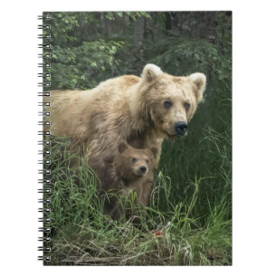 Kutest Baby Animals   Beer Mama Beer en haar kubus Notitieboek