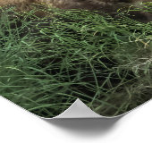 Kutest Baby Animals | Beer Mama Beer en haar kubus Poster (Hoek)