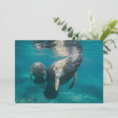 Kutest Baby Animals | Beheer en Baby Bedankkaart (Staand voorkant)