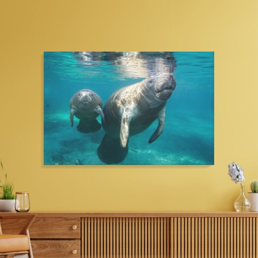 Kutest Baby Animals | Beheer en Baby Canvas Afdruk (Insitu (Woonkamer))