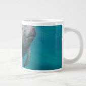 Kutest Baby Animals | Beheer en Baby Grote Koffiekop (Rechts)