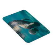 Kutest Baby Animals | Beheer en Baby Magneet (Rechterzijde)