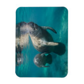 Kutest Baby Animals | Beheer en Baby Magneet (Verticaal)