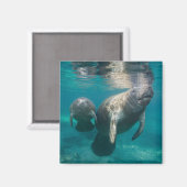 Kutest Baby Animals | Beheer en Baby Magneet (Voorkant / Achterkant)