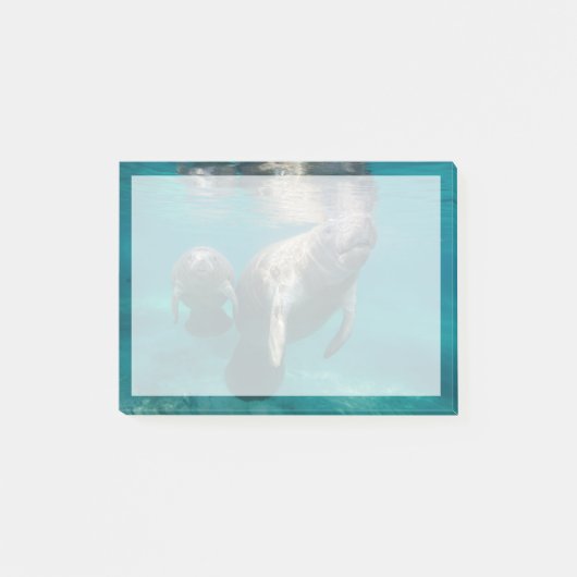 Kutest Baby Animals | Beheer en Baby Post-it® Notes (Voorkant)