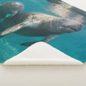 Kutest Baby Animals | Beheer en Baby Sherpa Deken (3/4)