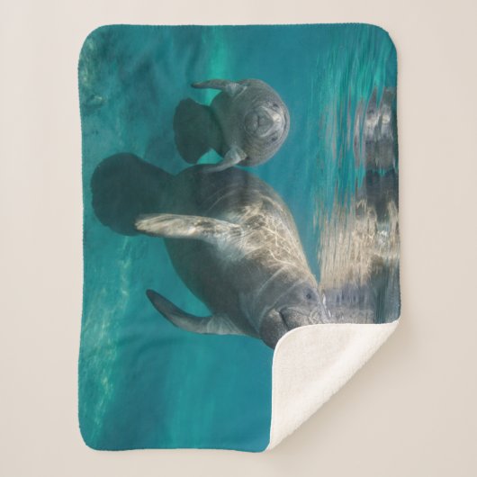 Kutest Baby Animals | Beheer en Baby Sherpa Deken (Voorkant)