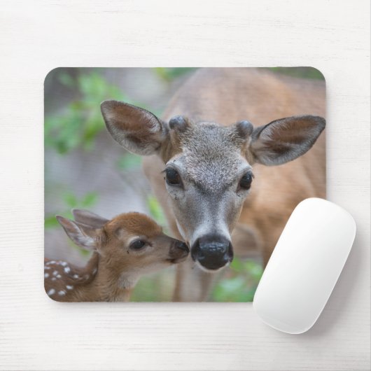 Kutest Baby Animals | Belangrijke deer Stag & Fawn Muismat (Met muis)