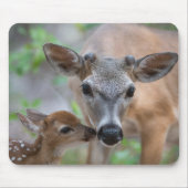 Kutest Baby Animals | Belangrijke deer Stag & Fawn Muismat (Voorkant)